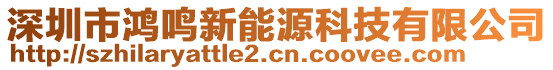 深圳市鴻鳴新能源科技有限公司