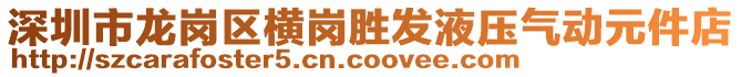 深圳市龍崗區(qū)橫崗勝發(fā)液壓氣動元件店