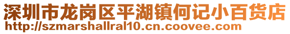 深圳市龍崗區(qū)平湖鎮(zhèn)何記小百貨店