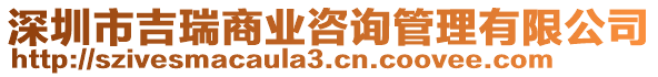 深圳市吉瑞商業(yè)咨詢管理有限公司