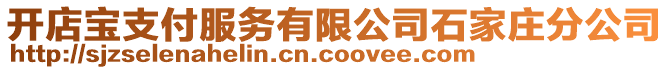 開店寶支付服務(wù)有限公司石家莊分公司