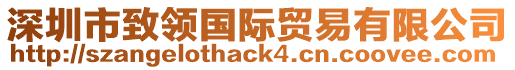 深圳市致領(lǐng)國際貿(mào)易有限公司