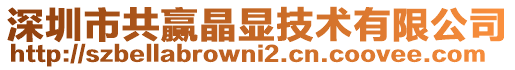 深圳市共贏晶顯技術(shù)有限公司