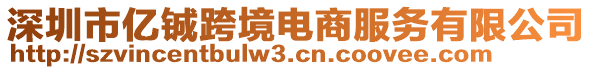 深圳市億鋮跨境電商服務有限公司