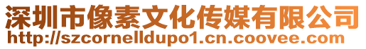 深圳市像素文化傳媒有限公司