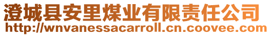 澄城縣安里煤業(yè)有限責(zé)任公司