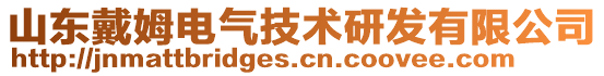 山東戴姆電氣技術(shù)研發(fā)有限公司