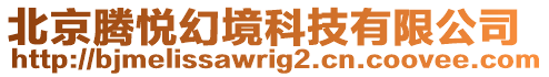 北京騰悅幻境科技有限公司