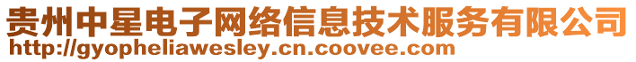 贵州中星电子网络信息技术服务有限公司