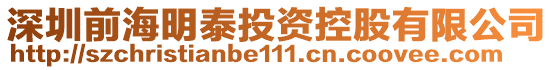 深圳前海明泰投資控股有限公司