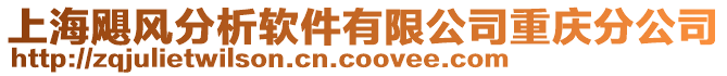 上海颶風(fēng)分析軟件有限公司重慶分公司