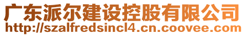 廣東派爾建設(shè)控股有限公司