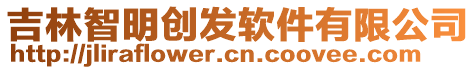 吉林智明創(chuàng)發(fā)軟件有限公司