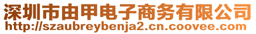 深圳市由甲電子商務(wù)有限公司