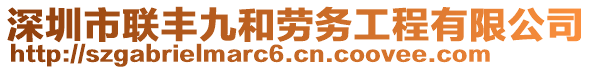 深圳市聯(lián)豐九和勞務(wù)工程有限公司