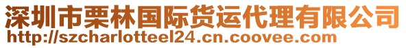 深圳市栗林國(guó)際貨運(yùn)代理有限公司