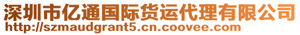 深圳市億通國際貨運(yùn)代理有限公司