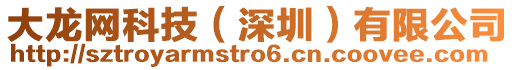 大龍網(wǎng)科技（深圳）有限公司