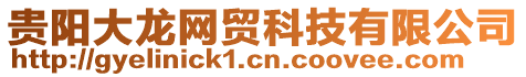 貴陽大龍網(wǎng)貿(mào)科技有限公司