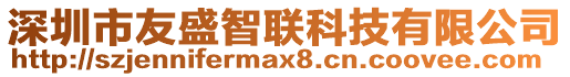 深圳市友盛智聯(lián)科技有限公司