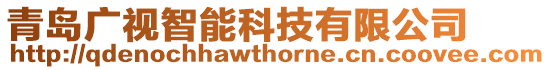 青島廣視智能科技有限公司