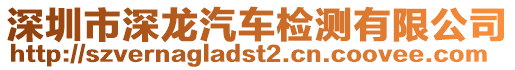 深圳市深龍汽車檢測有限公司