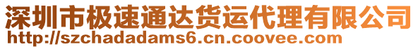 深圳市極速通達貨運代理有限公司