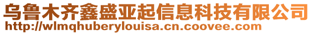 烏魯木齊鑫盛亞起信息科技有限公司