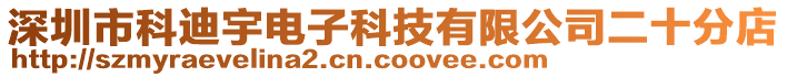 深圳市科迪宇電子科技有限公司二十分店