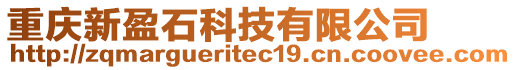 重慶新盈石科技有限公司