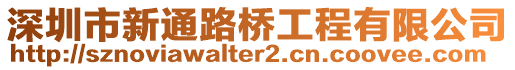 深圳市新通路桥工程有限公司