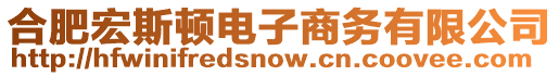 合肥宏斯頓電子商務(wù)有限公司