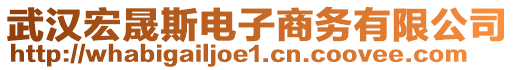 武汉宏晟斯电子商务有限公司