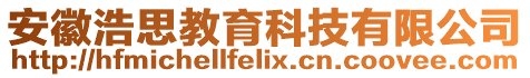 安徽浩思教育科技有限公司