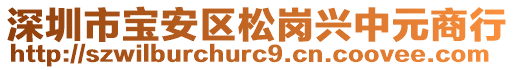 深圳市寶安區(qū)松崗興中元商行