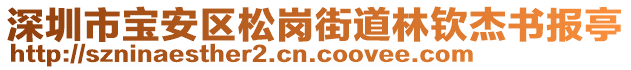 深圳市寶安區(qū)松崗街道林欽杰書(shū)報(bào)亭