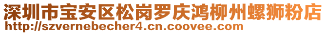 深圳市寶安區(qū)松崗羅慶鴻柳州螺獅粉店