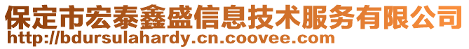 保定市宏泰鑫盛信息技術服務有限公司