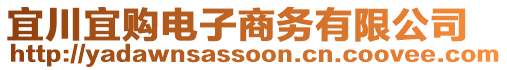 宜川宜購電子商務(wù)有限公司