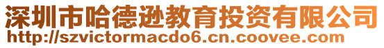 深圳市哈德遜教育投資有限公司