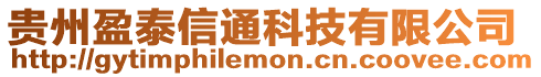 貴州盈泰信通科技有限公司