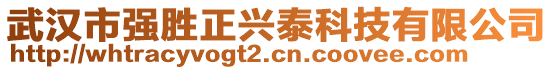 武漢市強勝正興泰科技有限公司