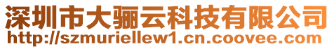 深圳市大驪云科技有限公司