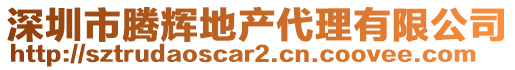 深圳市騰輝地產(chǎn)代理有限公司