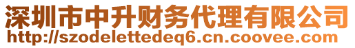 深圳市中升財(cái)務(wù)代理有限公司