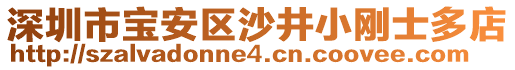 深圳市寶安區(qū)沙井小剛士多店