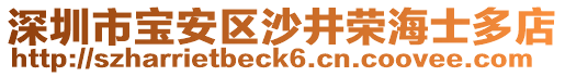 深圳市寶安區(qū)沙井榮海士多店