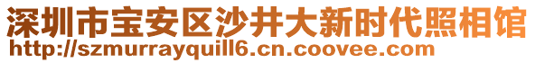 深圳市寶安區(qū)沙井大新時代照相館