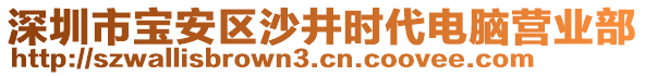 深圳市寶安區(qū)沙井時代電腦營業(yè)部