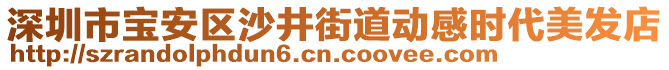 深圳市寶安區(qū)沙井街道動感時代美發(fā)店